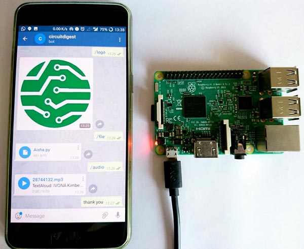 setup telegram app on raspberry-pi