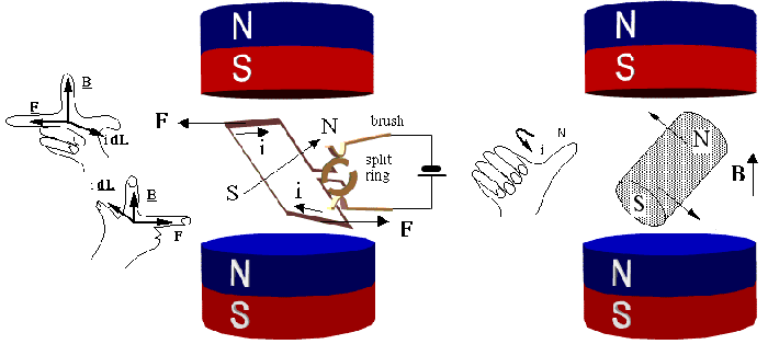 Brush and Brushless Motors Operation Principle and Construction