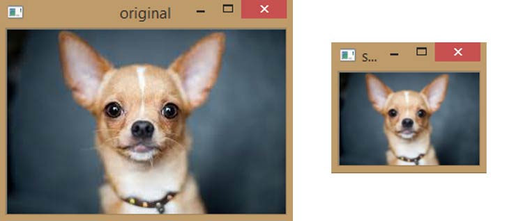 Original Image to Smaller Image using Python OpenCV