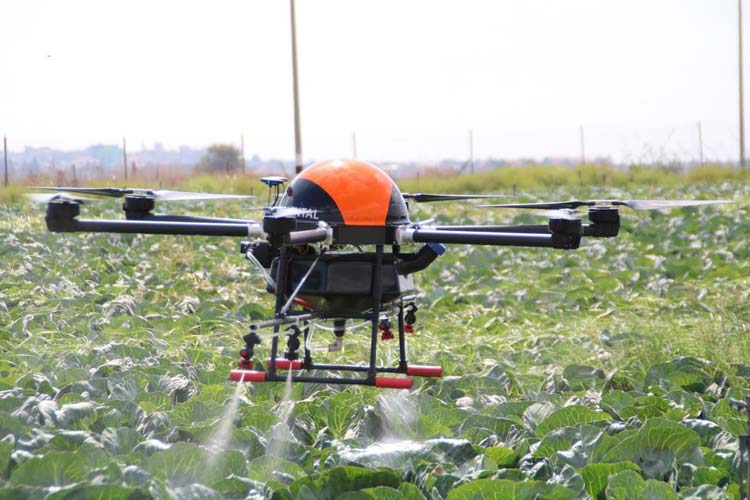 Drones in Agriculture