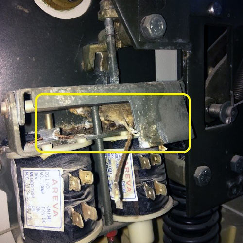 Importance of Vermin Proofing and Periodic Maintenance in HT and LT Panels