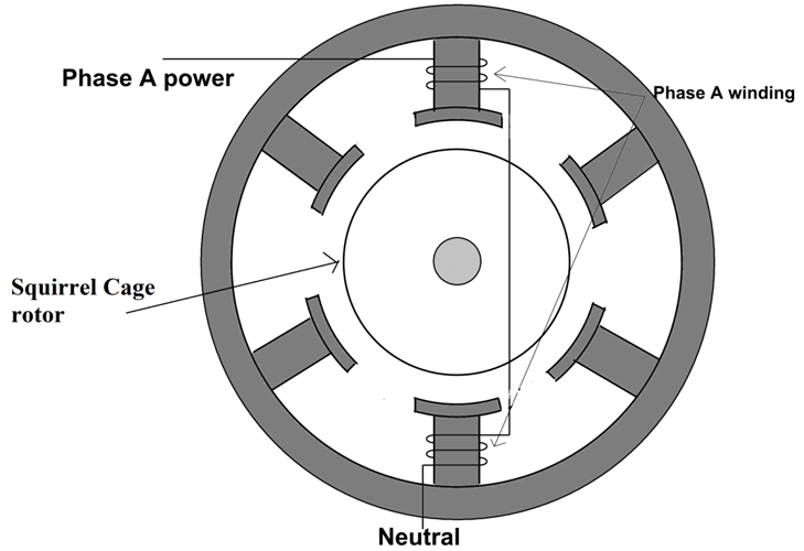 Three Phase Induction Motor