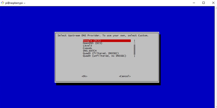 Upstream DNS Provider