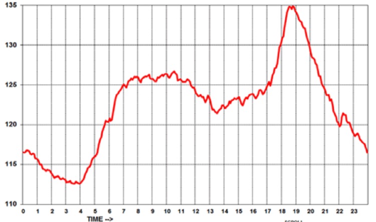  A typical all-India daily load curve