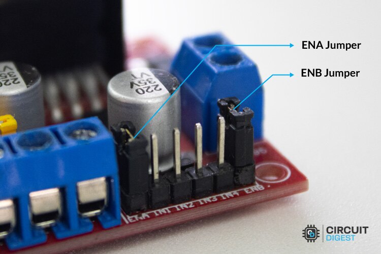 ENA and ENB pins on the L298N Motor Driver Module 