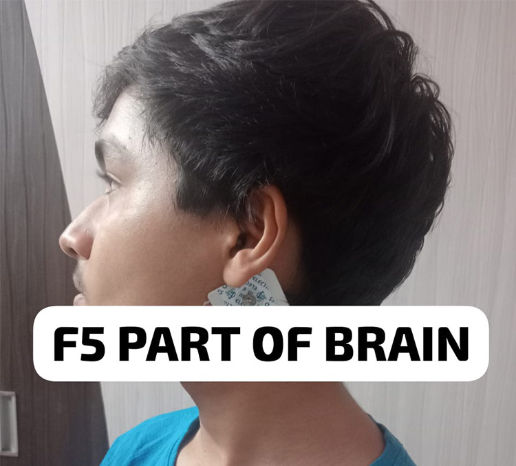 F5 Part Of The Brain