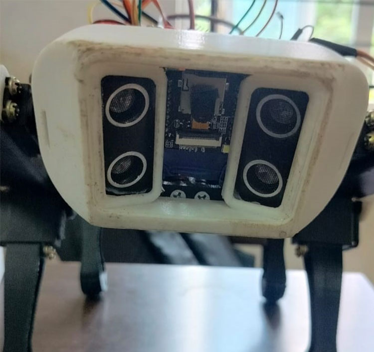 Front View of Quadruped Robot Dog