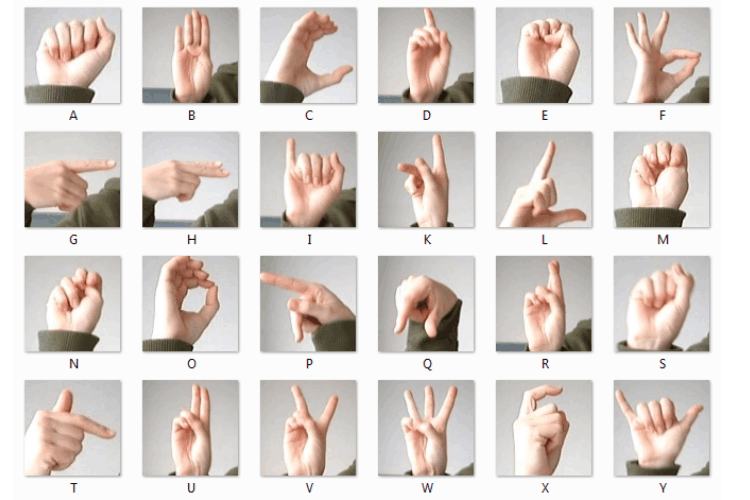 Sign Language 