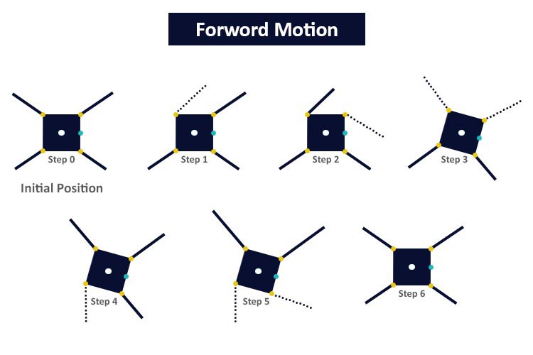 forward quadruped gait