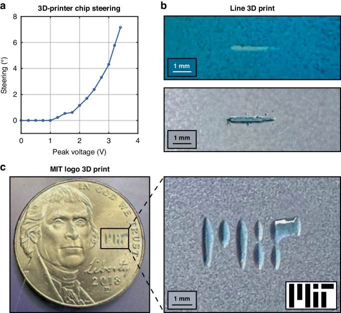 3D Printer Printed MIT Logo