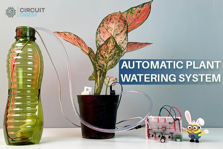 Automatic Plant Watering System