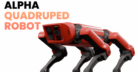 Integration of Edge AI and Robotics into A Quadruped Robot Dog