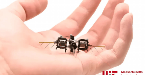 Tiny Robotic Insects for Pollination and Sustainable Farming