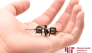 Tiny Robotic Insects for Pollination and Sustainable Farming